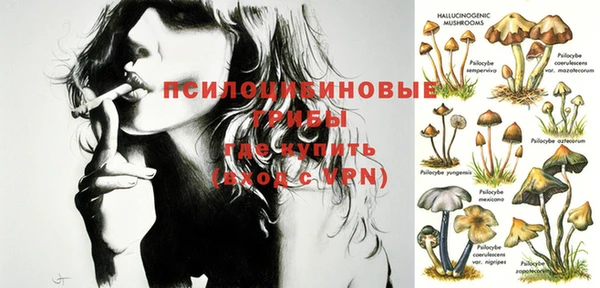 MDMA Premium VHQ Козельск