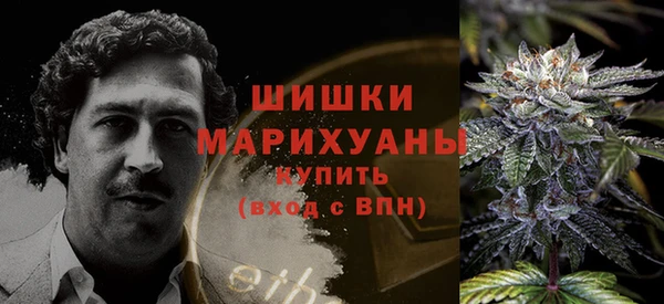 спайс Белокуриха